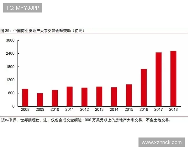 独家解读：杭州排球队意识形态的深度对比与影响分析